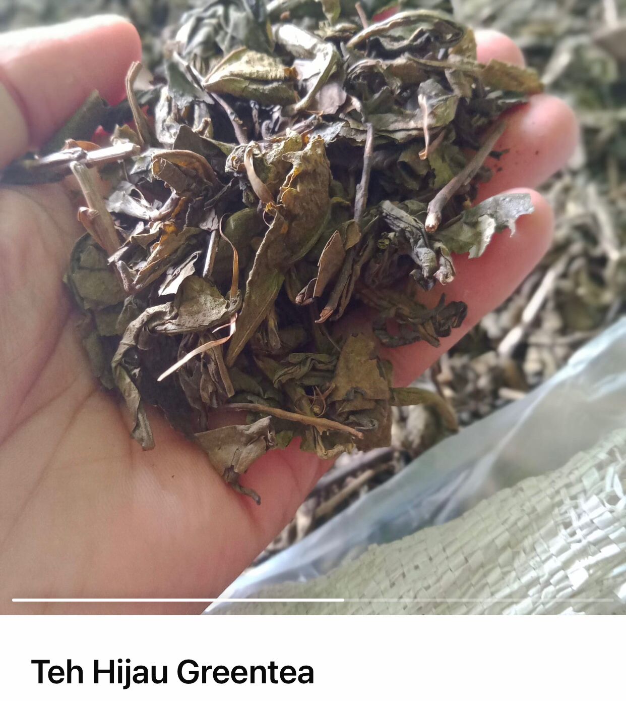 Teh Hijau